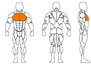 久久人人爽人人爽人人片