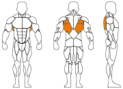 久久人人爽人人爽人人片
