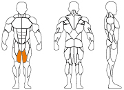久久人人爽人人爽人人片