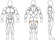 久久人人爽人人爽人人片