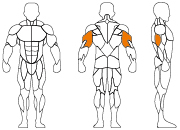 久久人人爽人人爽人人片