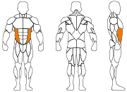 久久人人爽人人爽人人片
