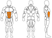 久久人人爽人人爽人人片