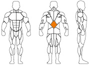 久久人人爽人人爽人人片