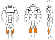 久久人人爽人人爽人人片