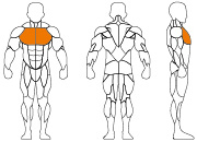 久久人人爽人人爽人人片