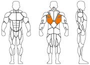 久久人人爽人人爽人人片