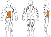 久久人人爽人人爽人人片