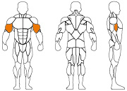 久久人人爽人人爽人人片