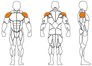 久久人人爽人人爽人人片