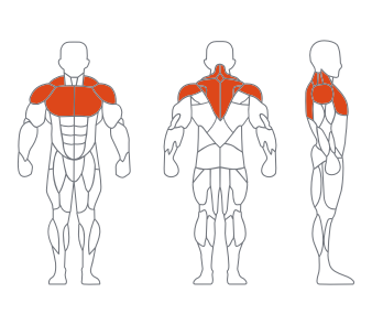 久久人人爽人人爽人人片