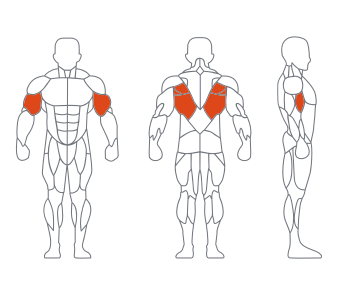GL-7014低拉背练习器（染叶秋）