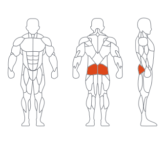 久久人人爽人人爽人人片