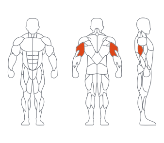 久久人人爽人人爽人人片