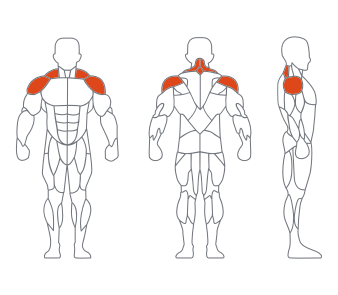久久人人爽人人爽人人片