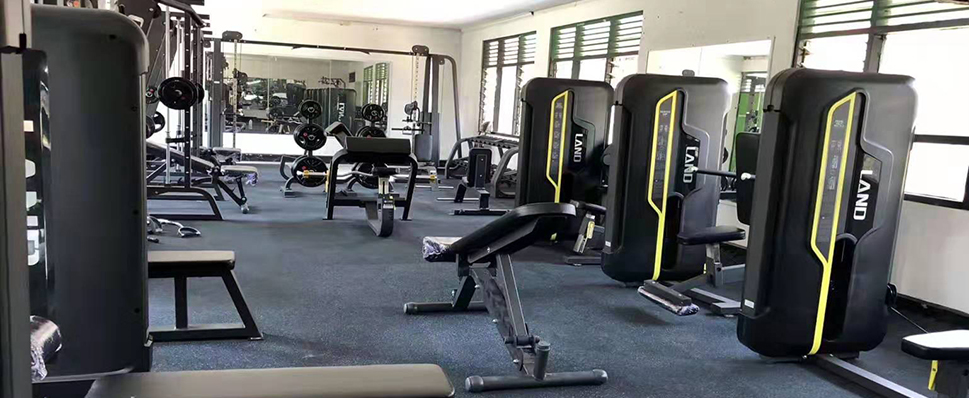 久久人人爽人人爽人人片